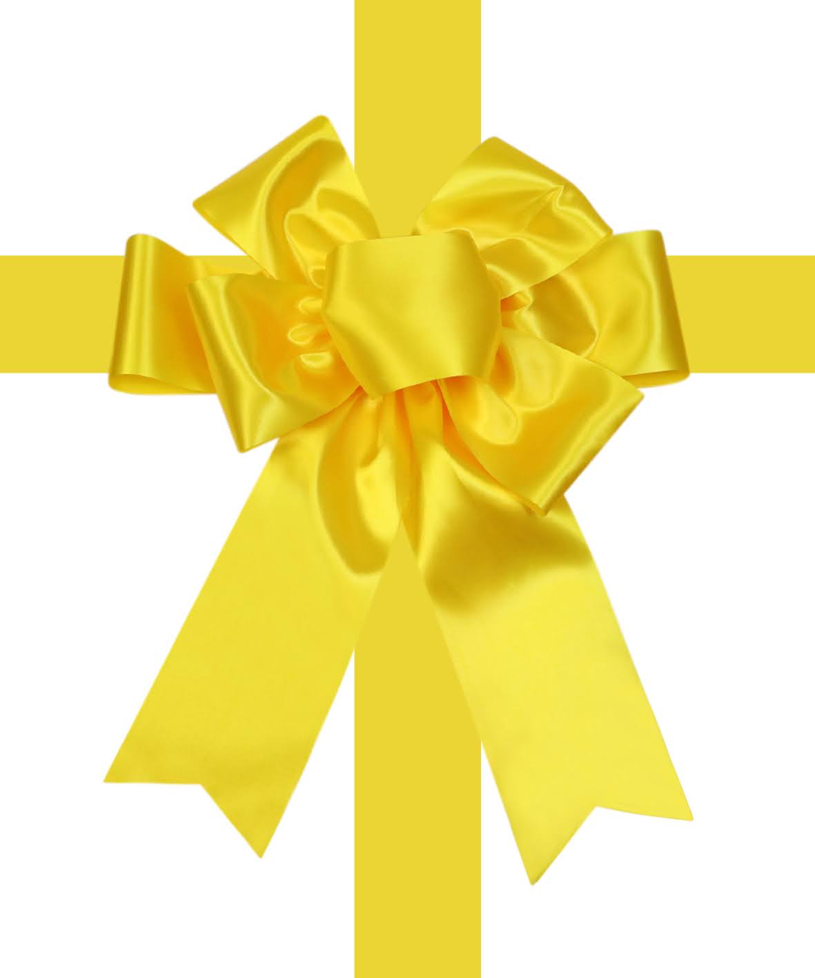 Satin Settlement Door Bow- Yellow